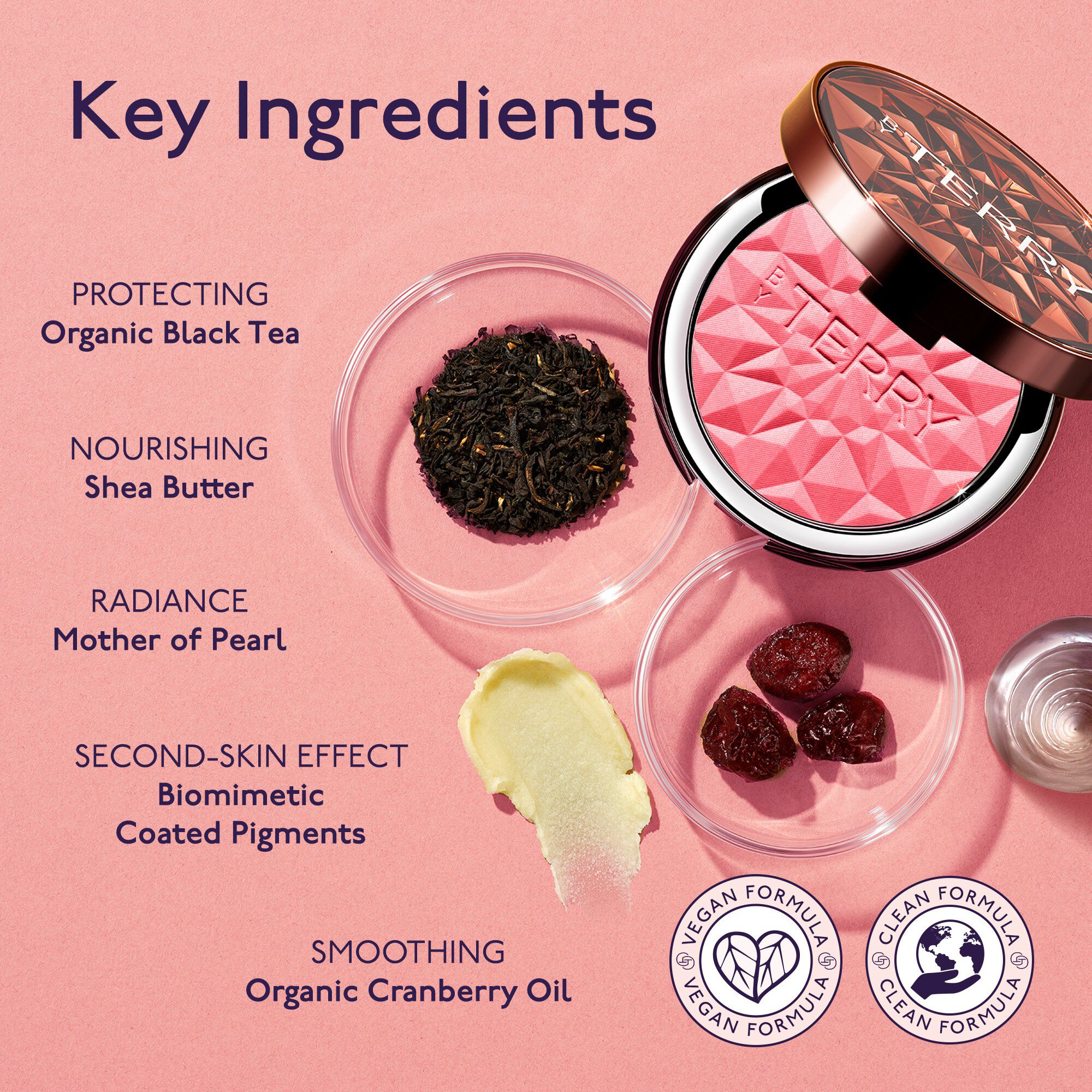 Tea to Tan Powder Blush N2 - Melon