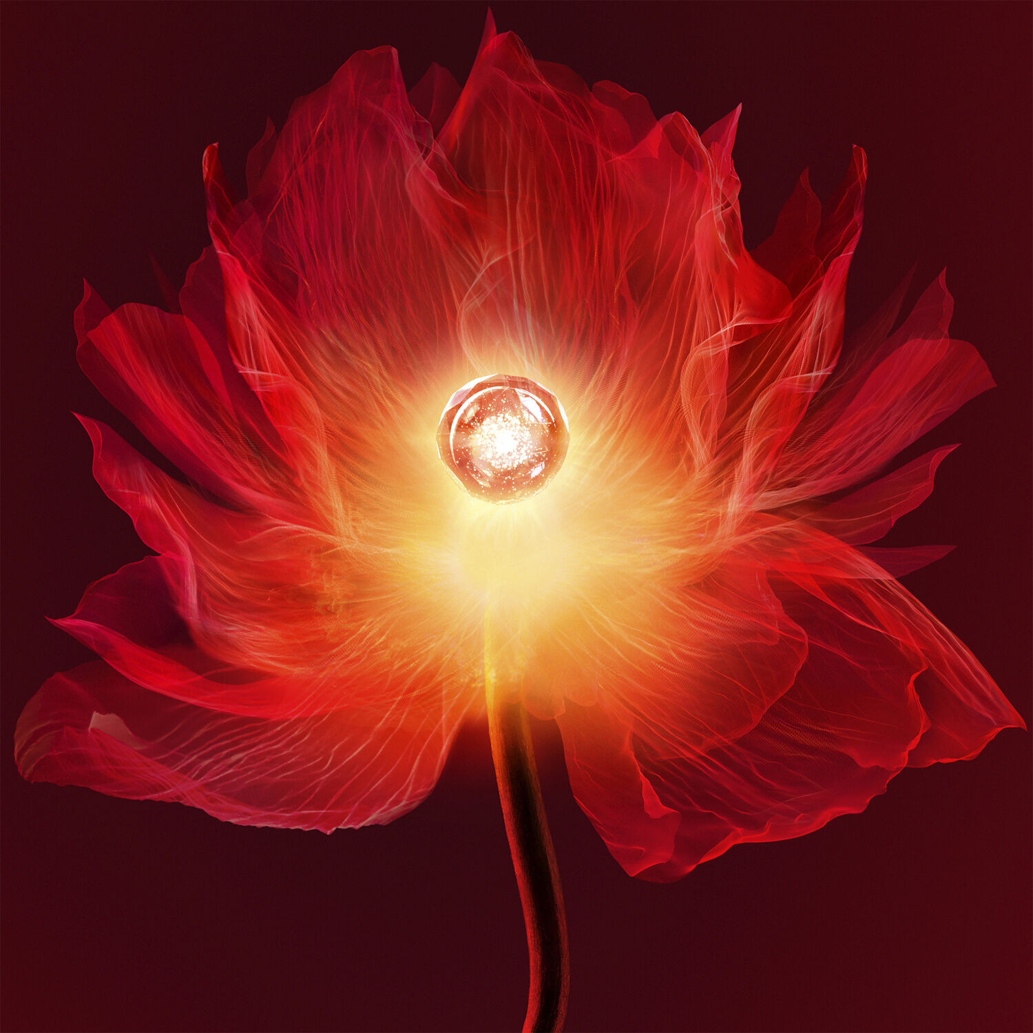 GIV SCULPTURAL EYE CREAM 15ML