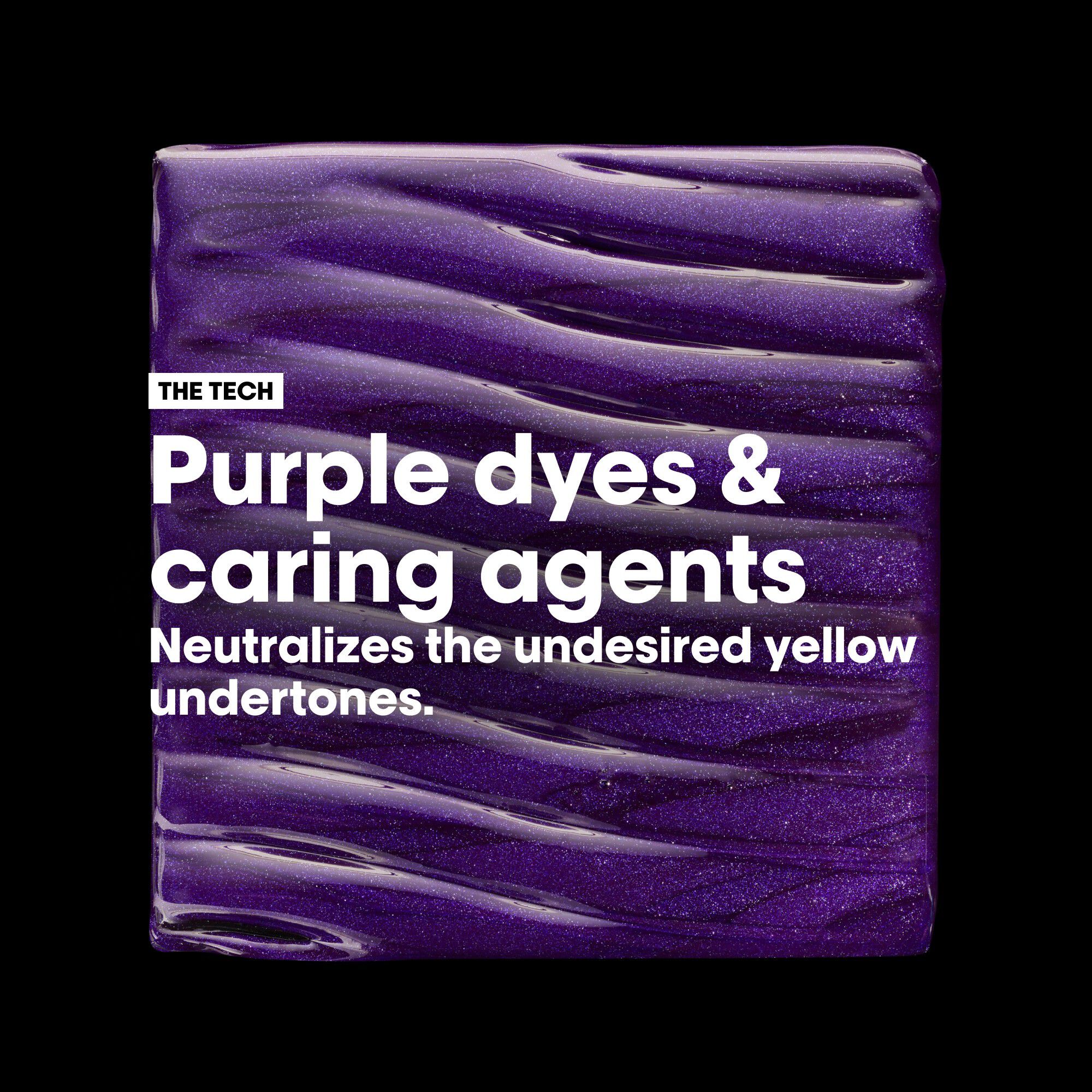 L'Or&eacute;al Professionnel Vitamino Color Spectrum Purple Shampoo 300ml