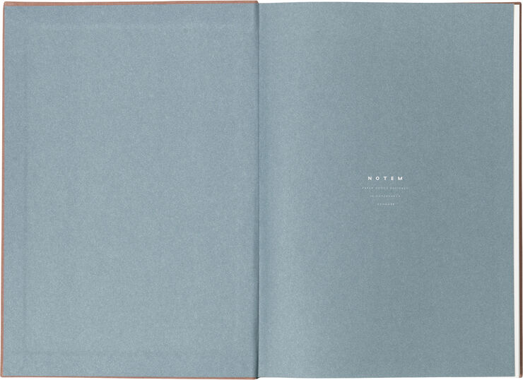 BEA, Notebook med elastik bånd Rose