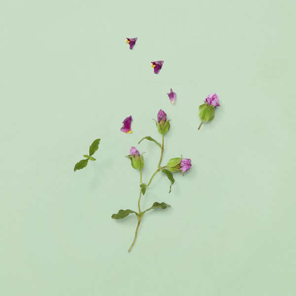 GUCCI Guilty PH Parfume Eau de parfum