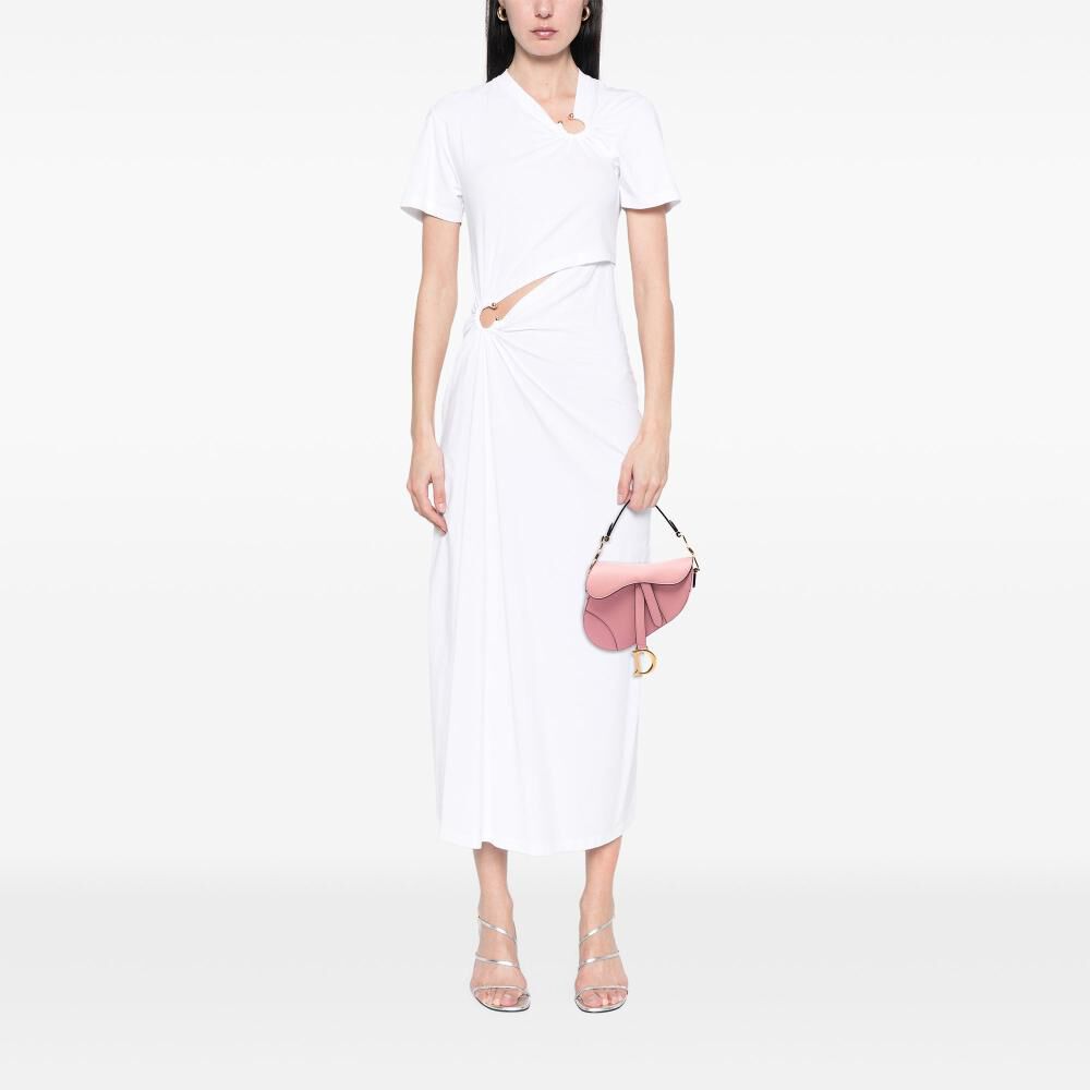 Dior Saddle Bag