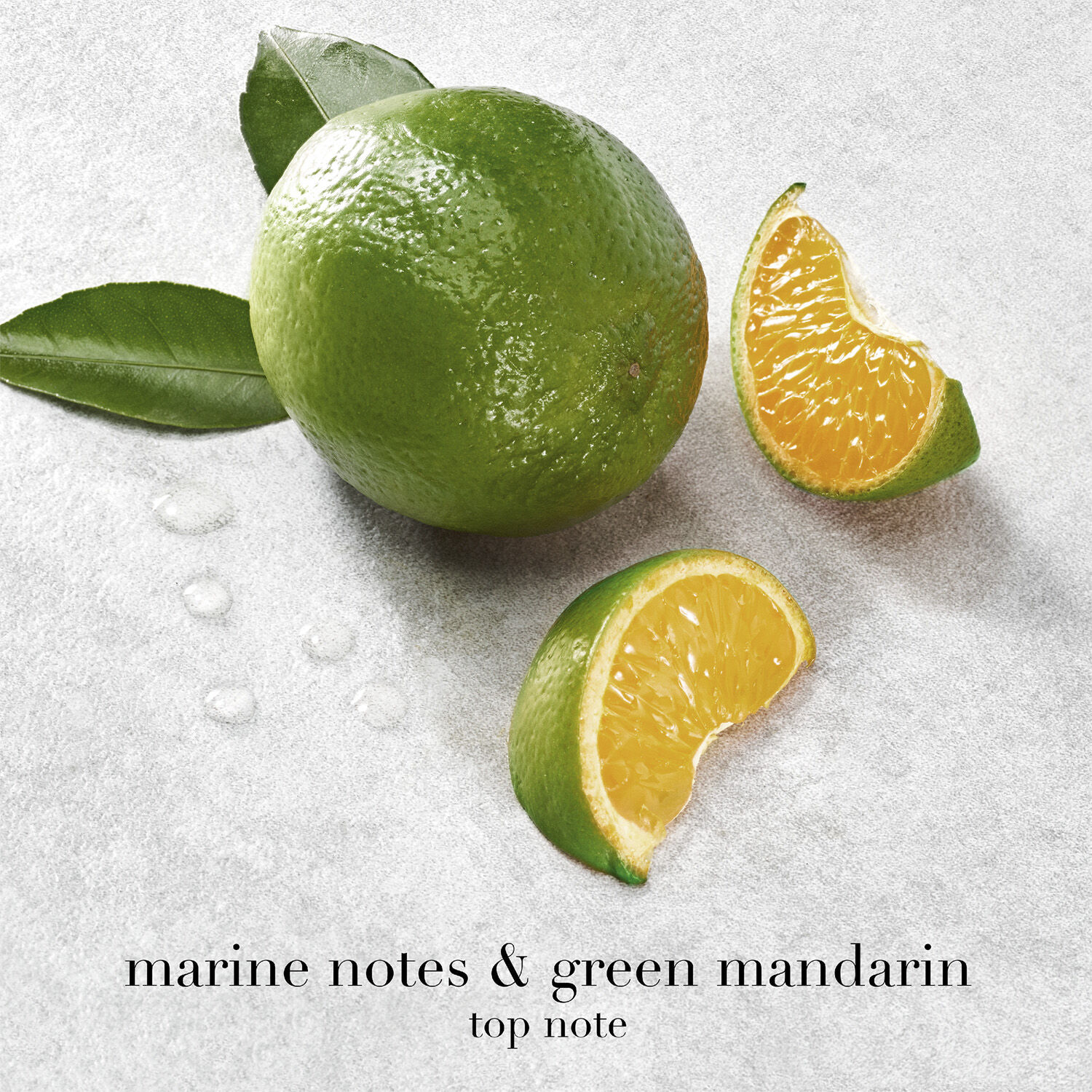 Acqua di Gi&ograve; Eau de Parfum