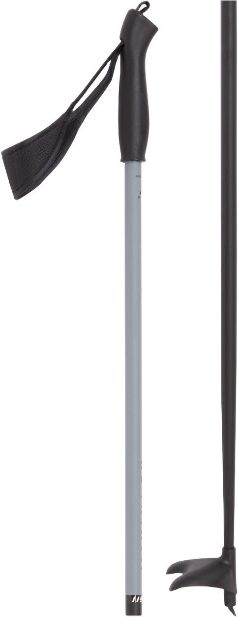 Active Skistave