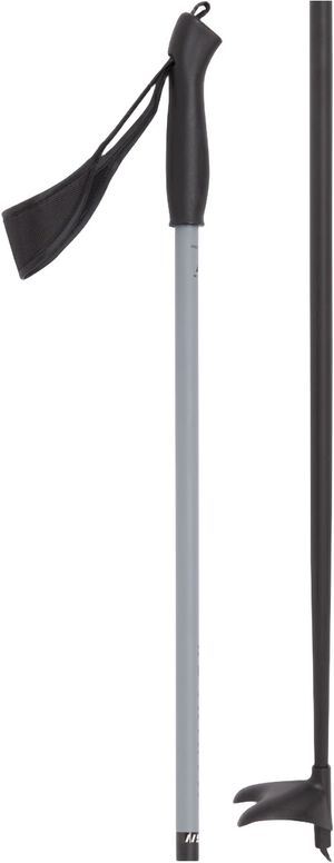 Active Skistave