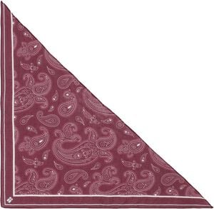 Paisley Triangle Scarf