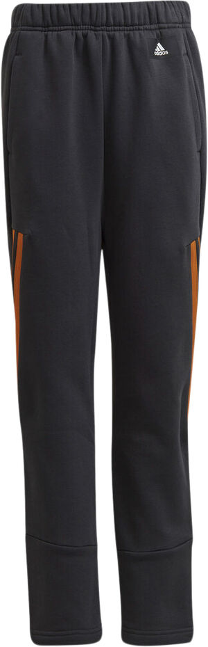 Future Icons Winterized joggingbukser