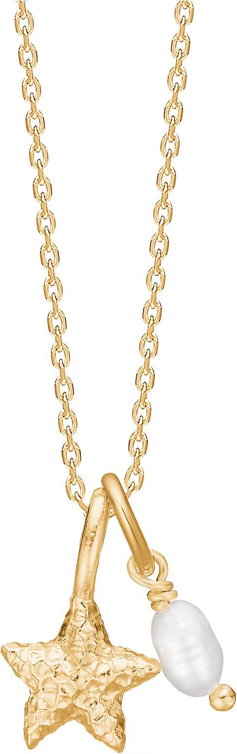 Starfish Lustre Halsk&aelig;de - Forgyldt