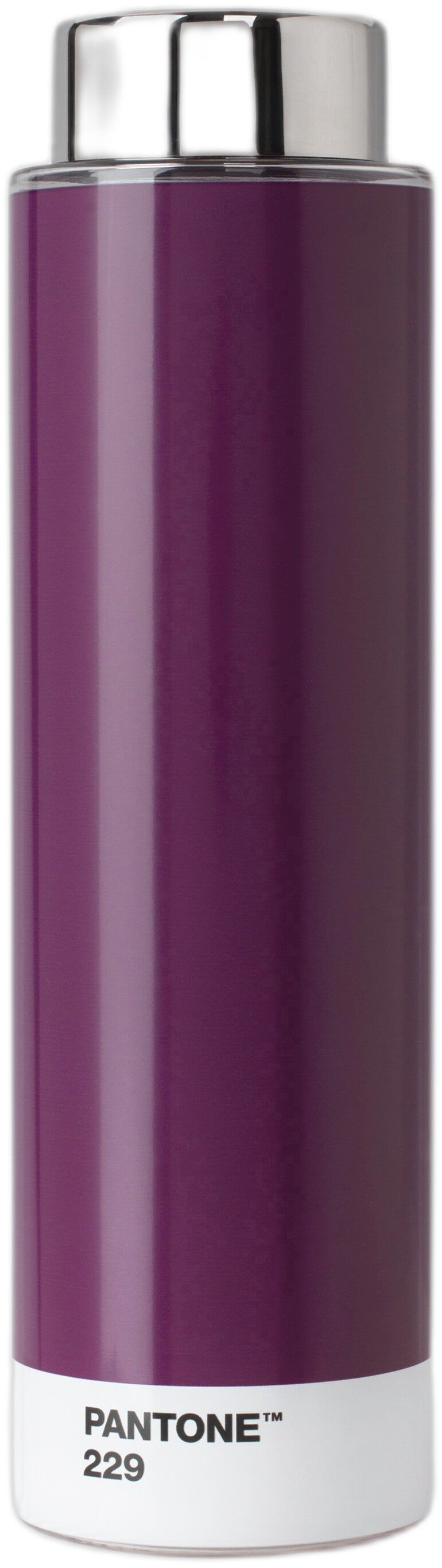 Pantone DRINKING BOTTLE TRITAN Aubergine 229