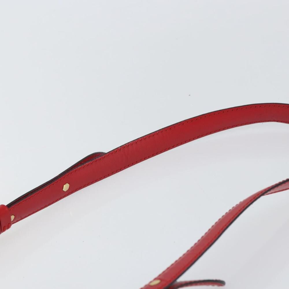 Louis Vuitton Cluny