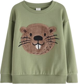 Sweatshirt placement forest