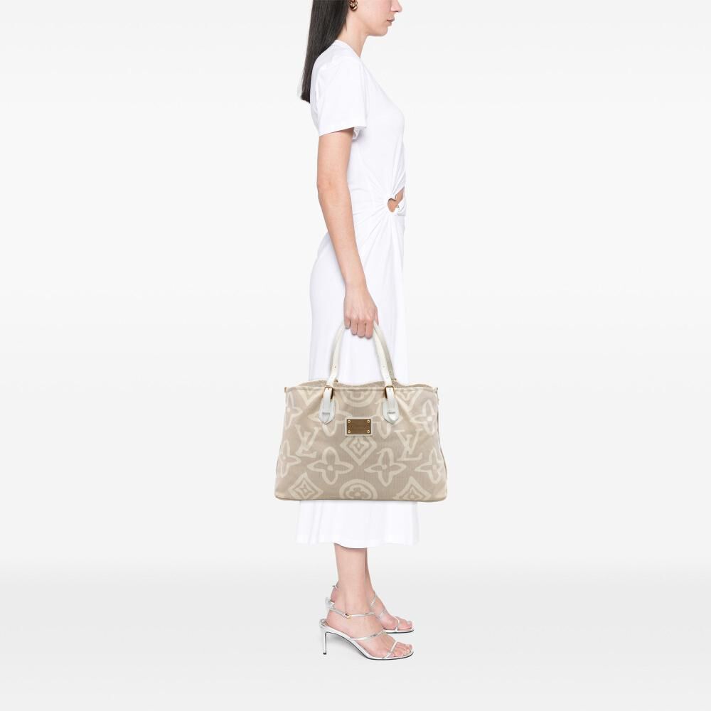 Louis Vuitton Cabas