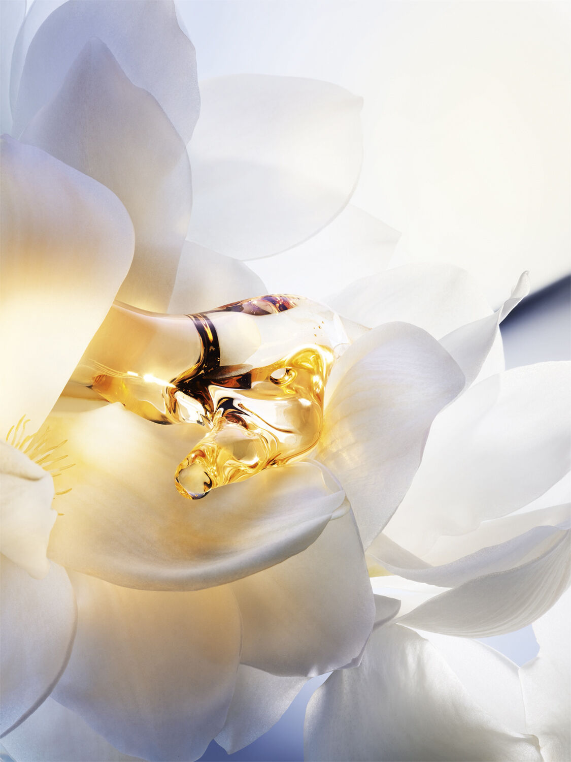 DIOR Jadore Parfum d'Eau Alcohol-Free