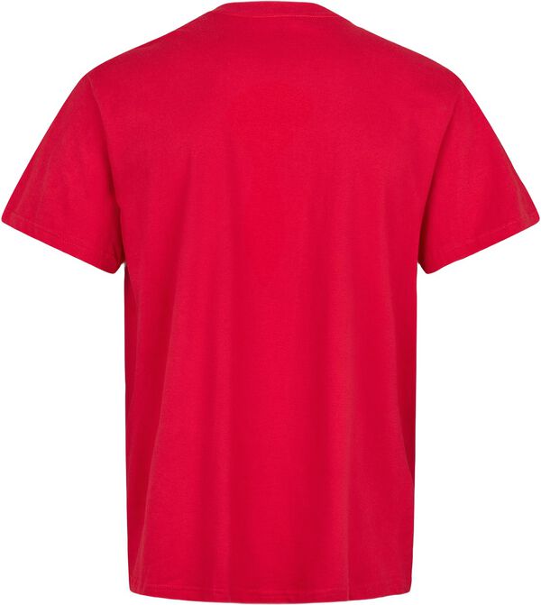 Danmark Fantrøje Voksen