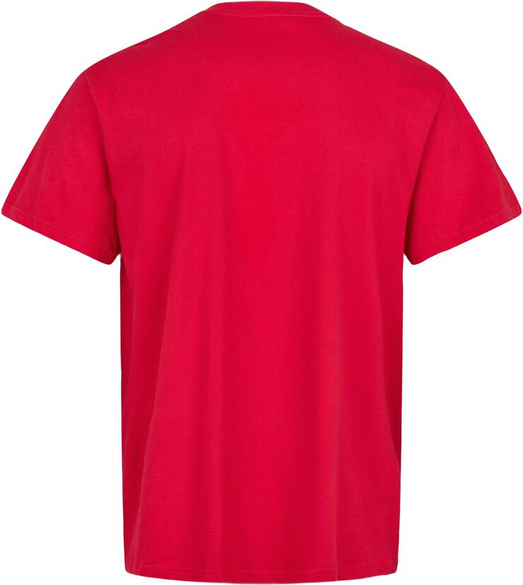 Danmark Fantrøje Voksen