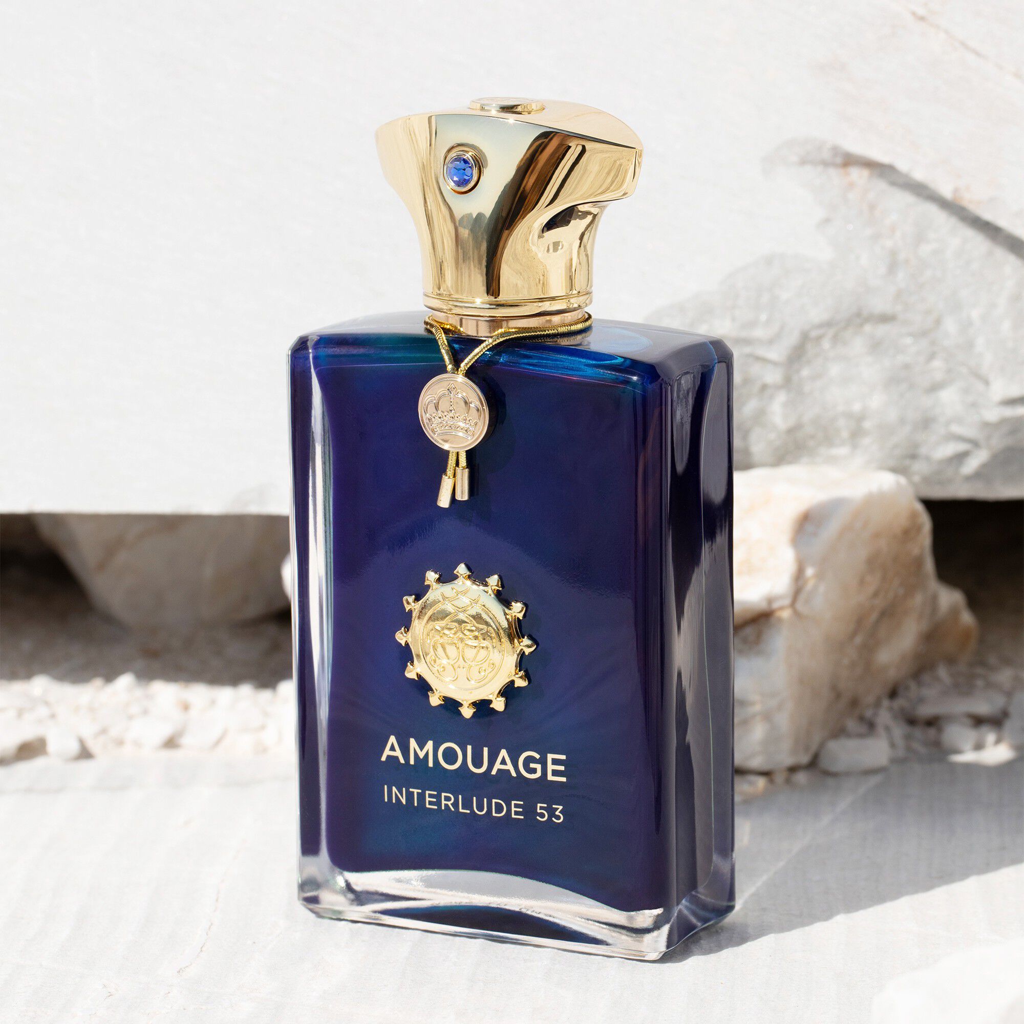 AMOUAGE INTERLUDE53 MAN EDP 100ML