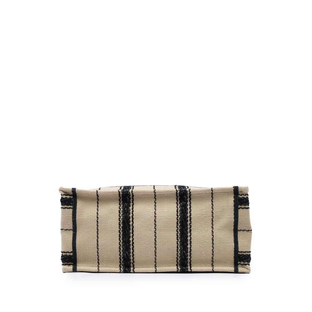 Dior Book Tote