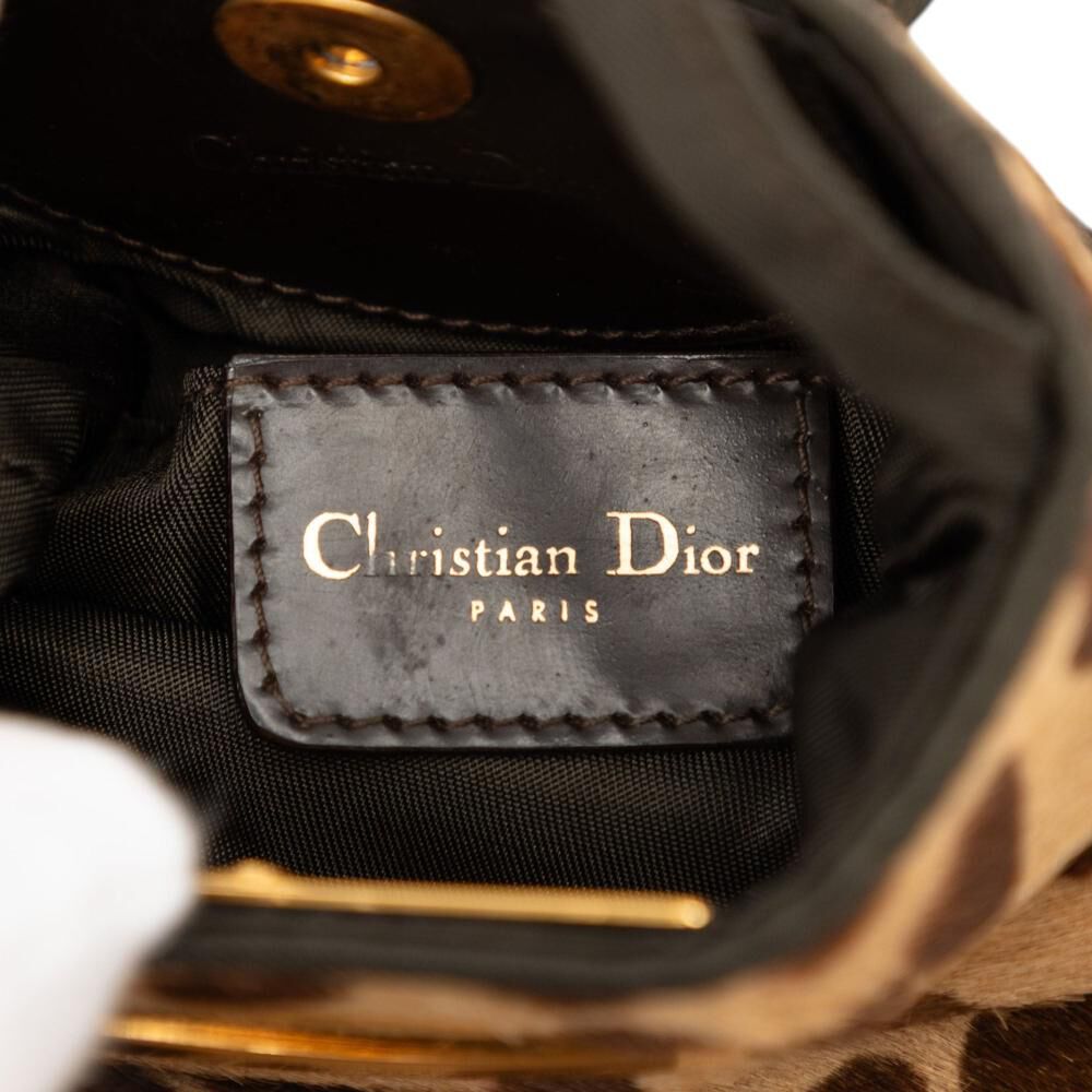Dior Crossbody Bag