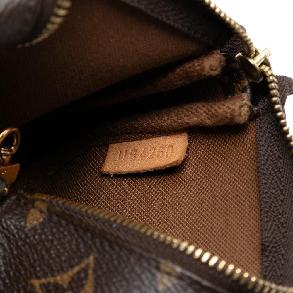 Louis Vuitton Pochette Accessoires