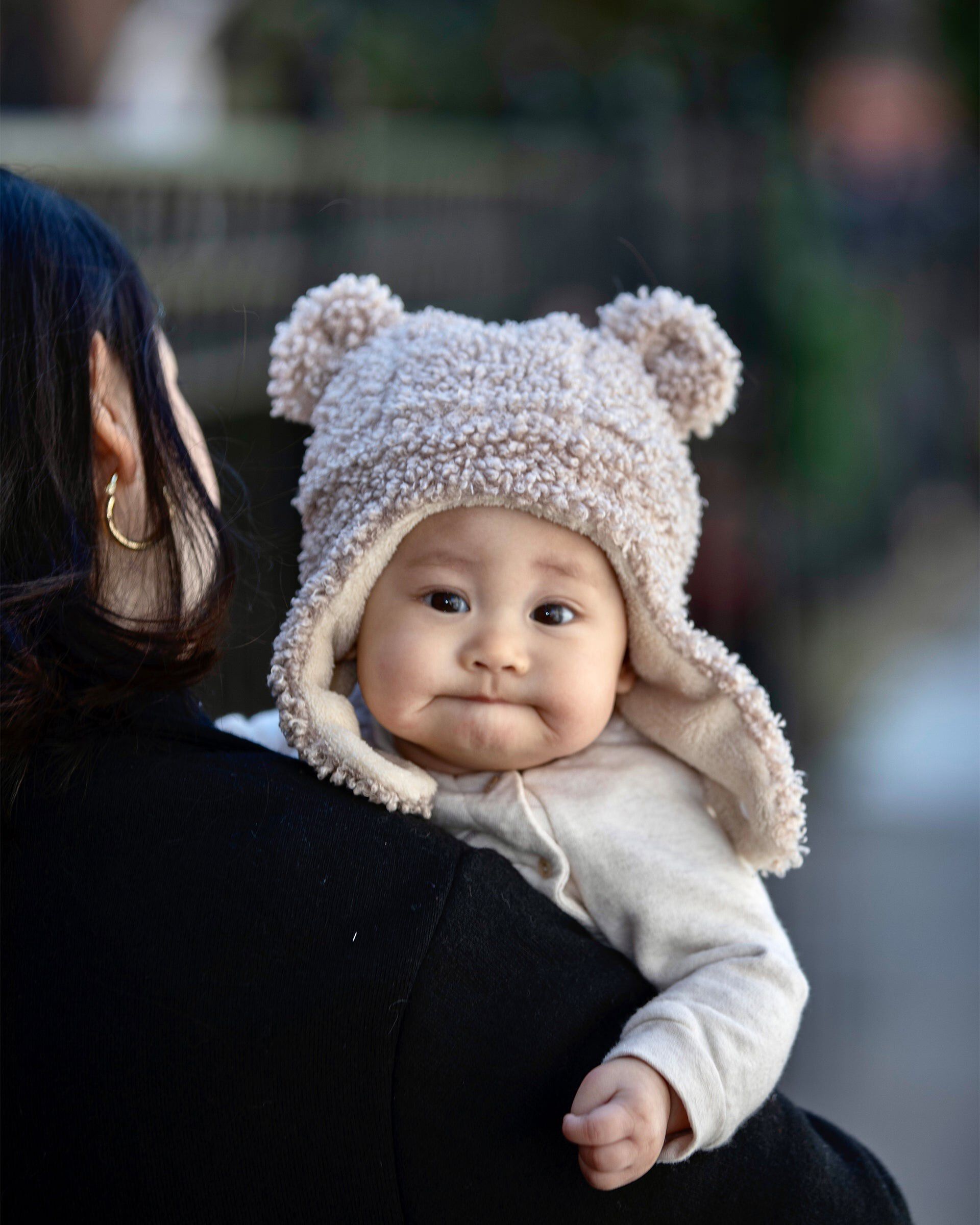 The Cub Hat - Teddy