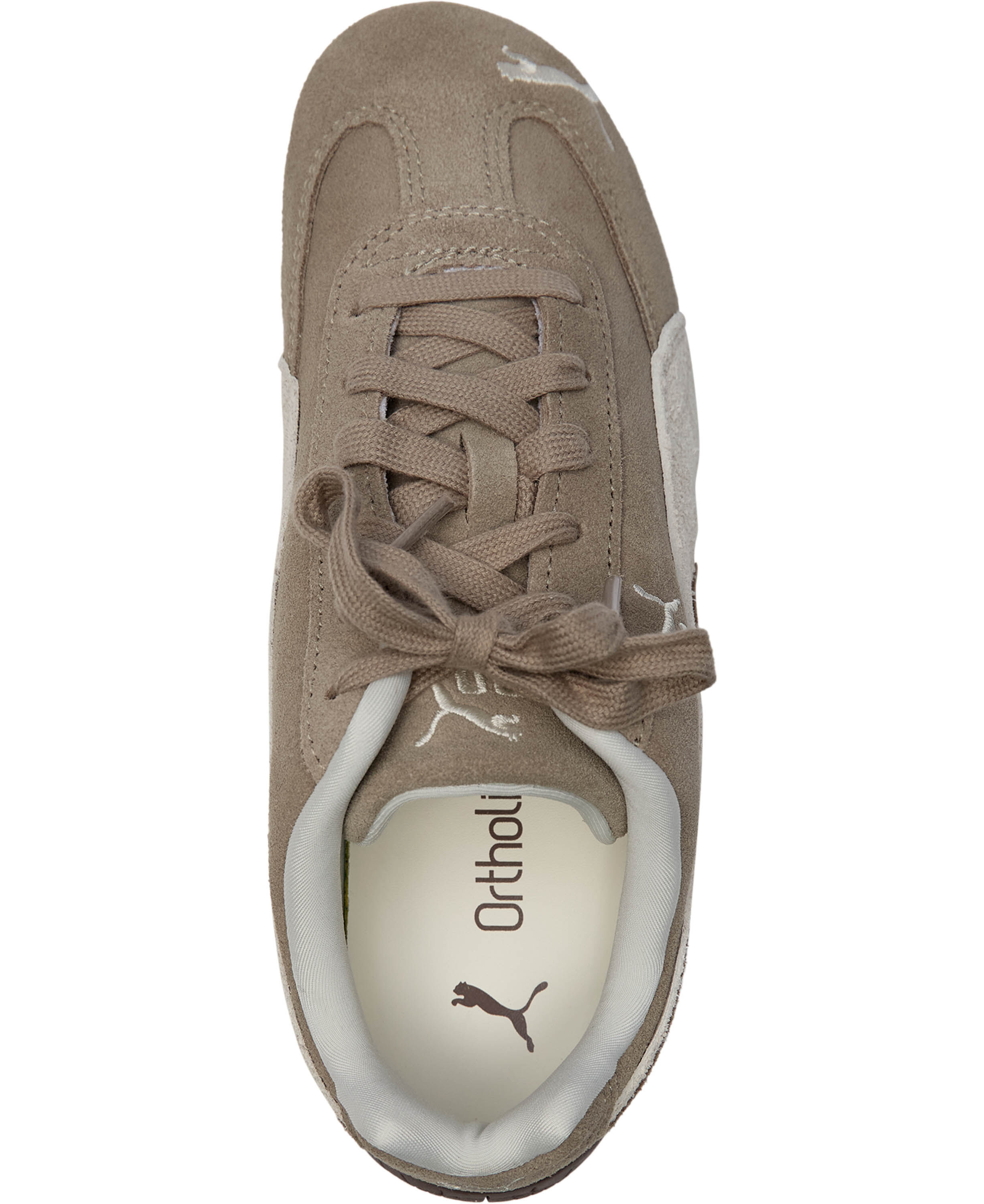 Speedcat Elevated Wns