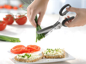 Urtesaks CUTARE