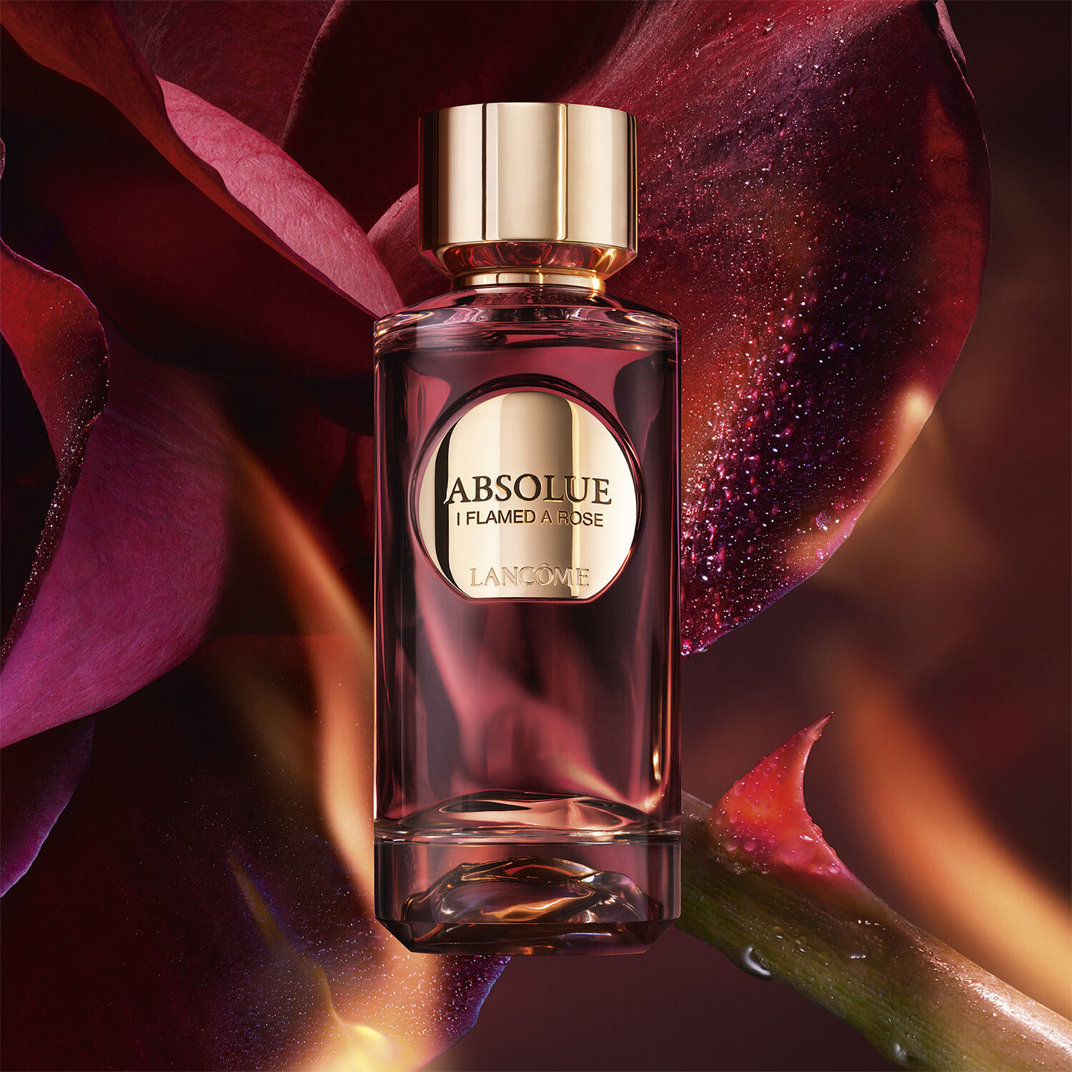 Absolue Les Parfums I FLAMED A ROSE Eau de Parfum
