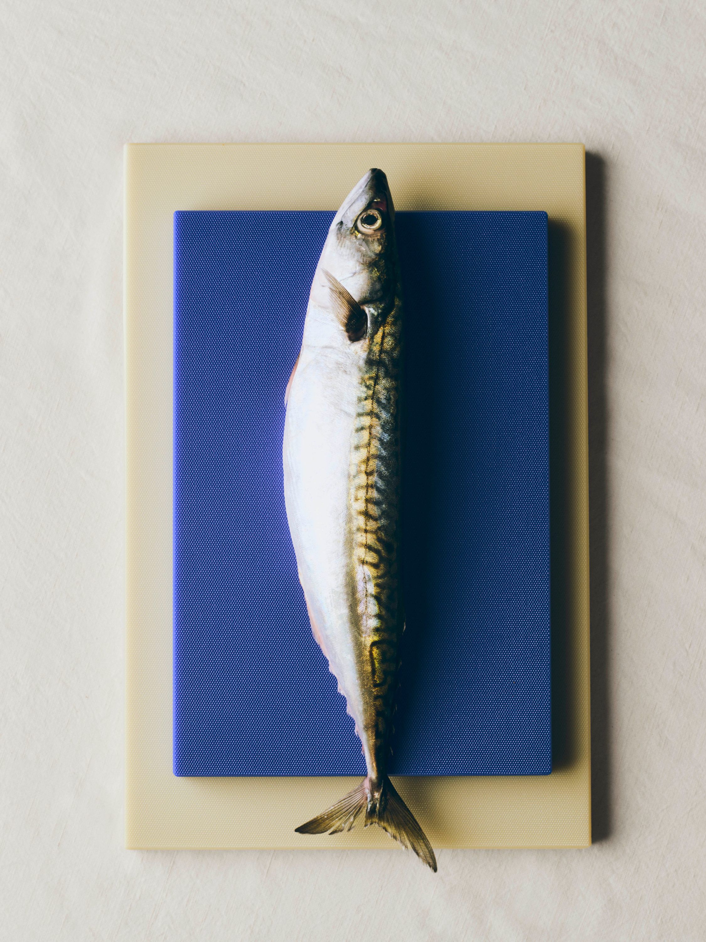 Slice Chopping Board-Medium-Cobalt