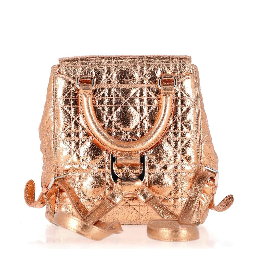 Dior Backpack