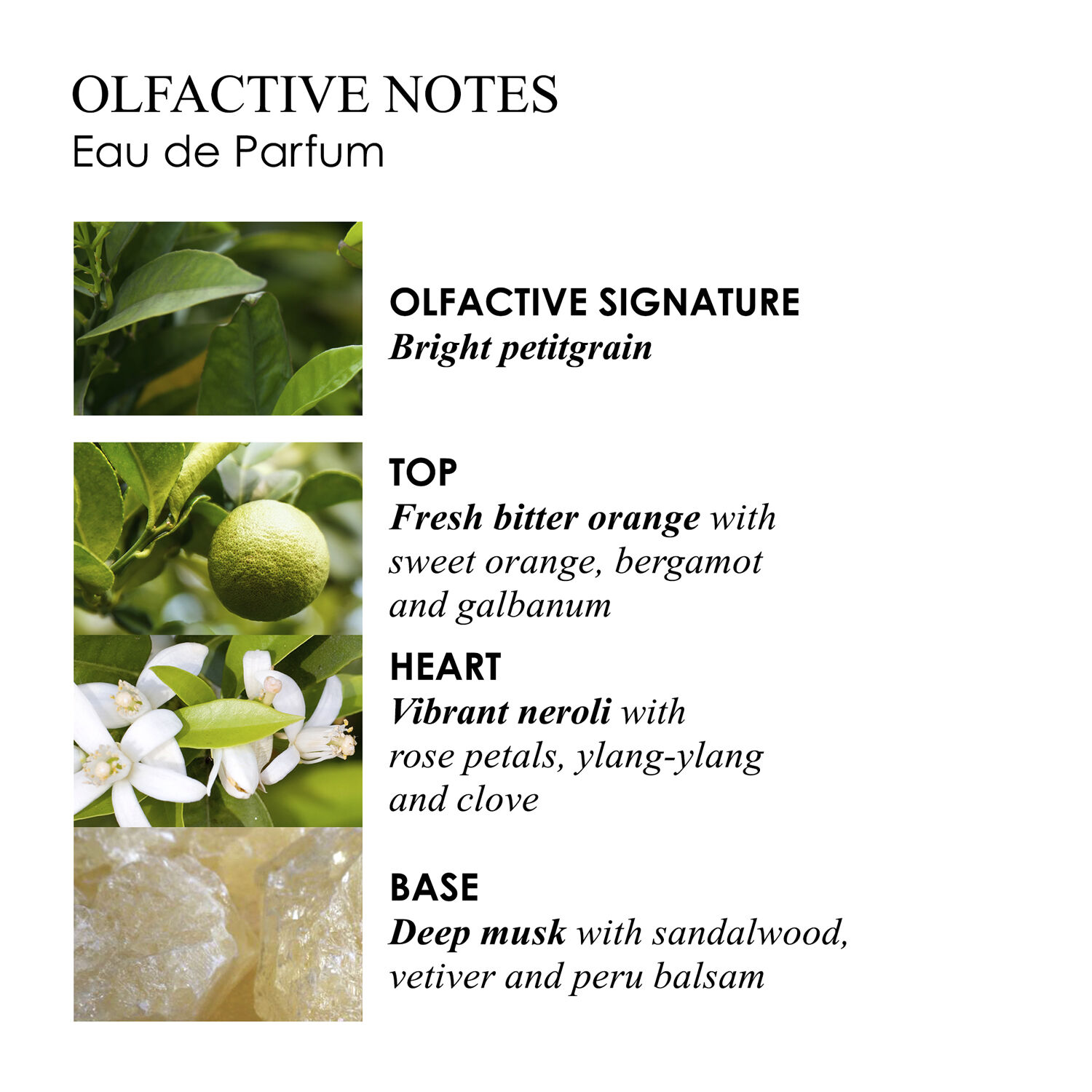 Molton Brown Orange & Bergamot Eau De Parfum 100 ml