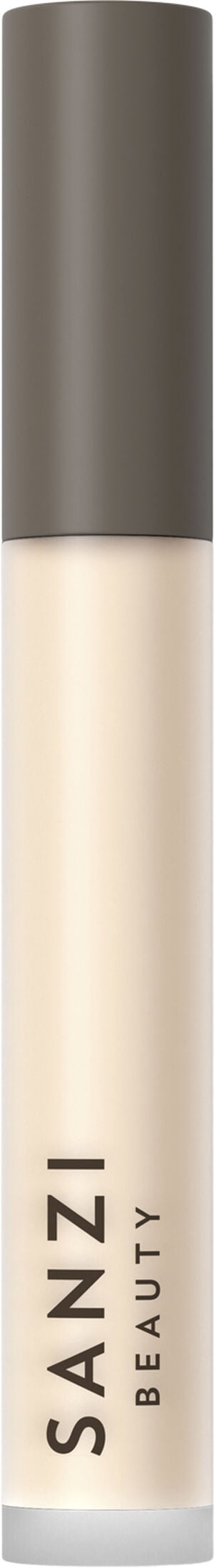 Perfecting Concealer