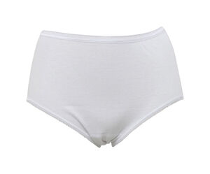 Debbie Midi brief