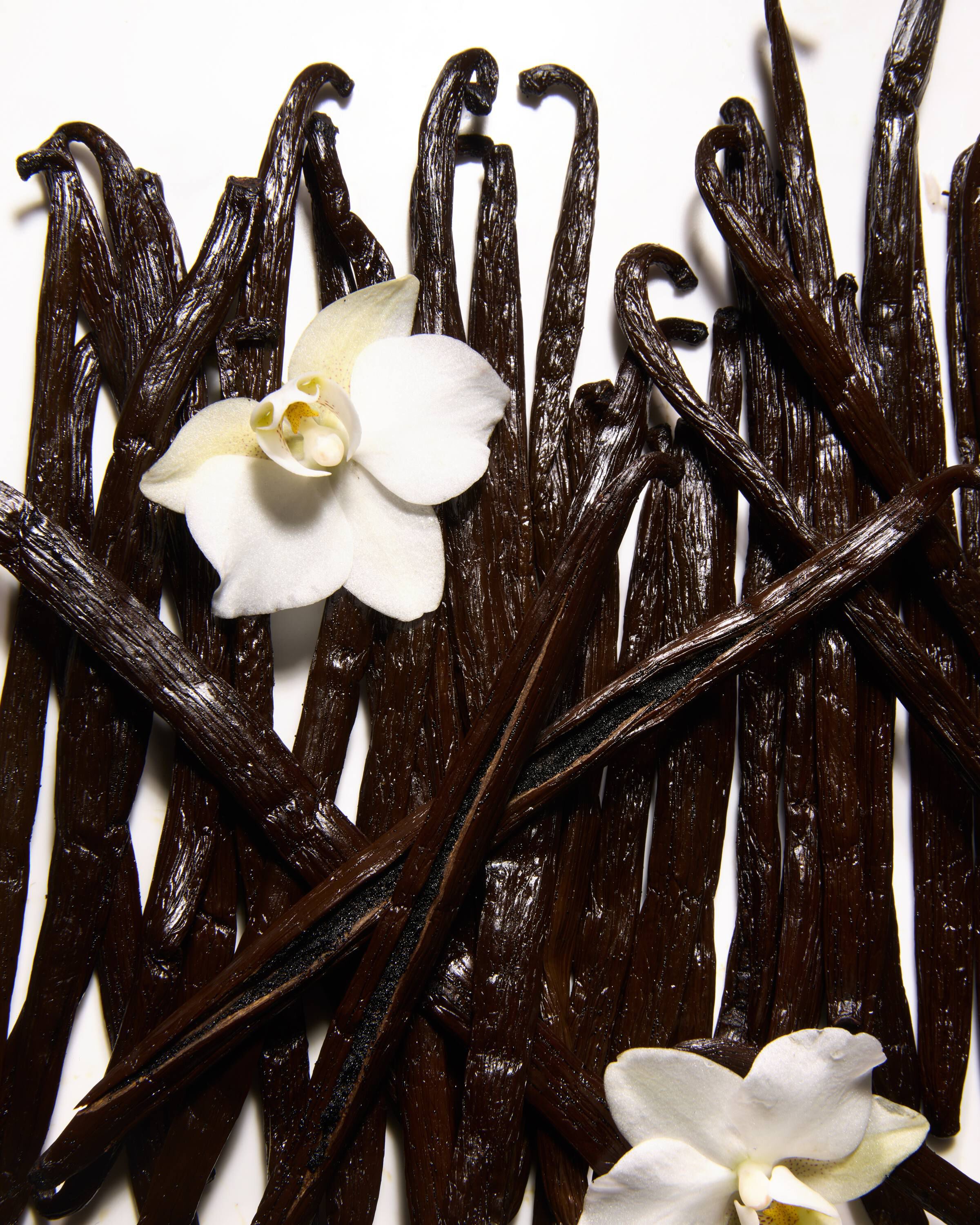 Vanilla Body Butter
