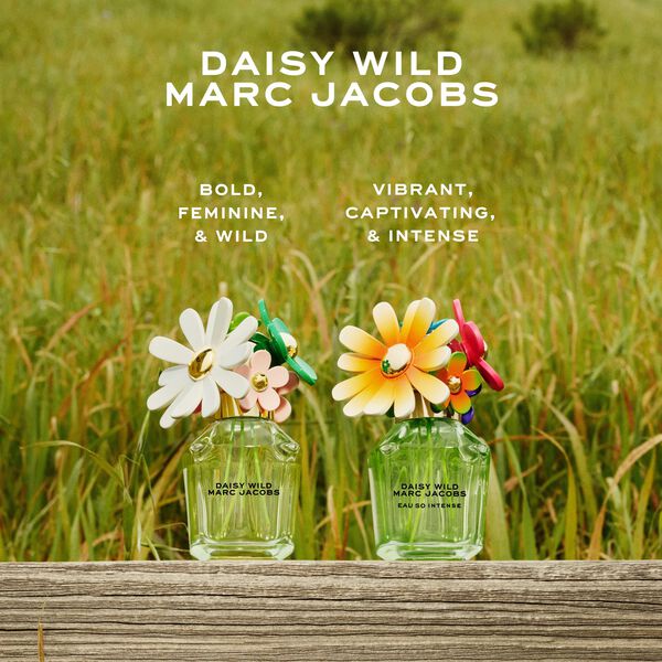 DAISY WILD INTENSE