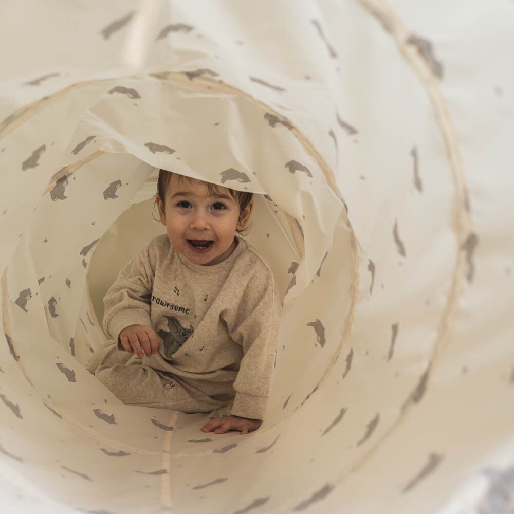 Theo aktivitetstunnel