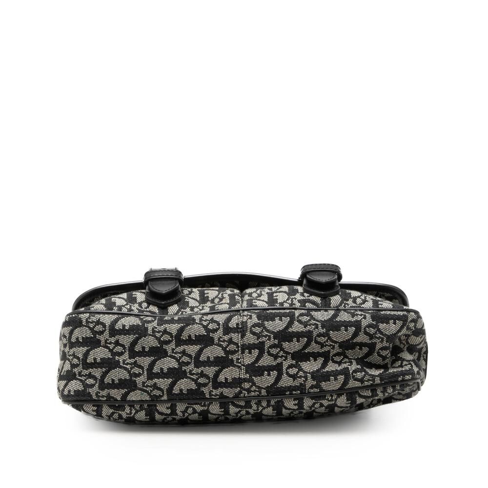 Dior Crossbody Bag