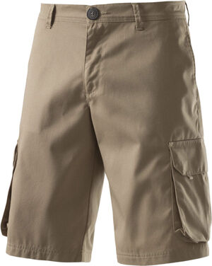 Geary II Shorts