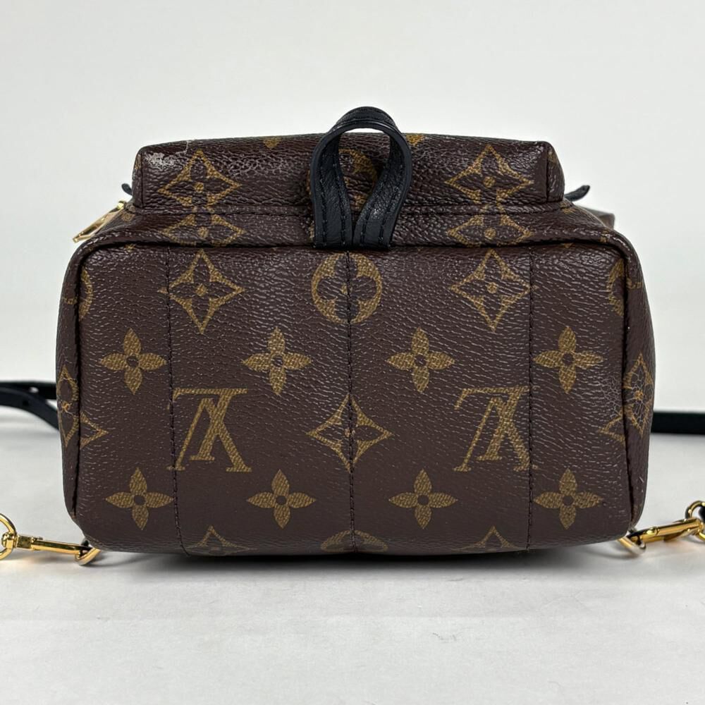 Louis Vuitton Palm Springs