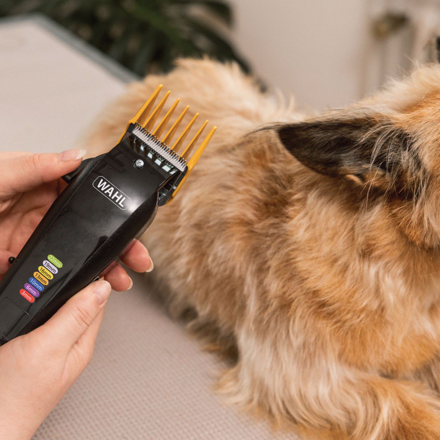 WAHL Hundeklipper Multicut