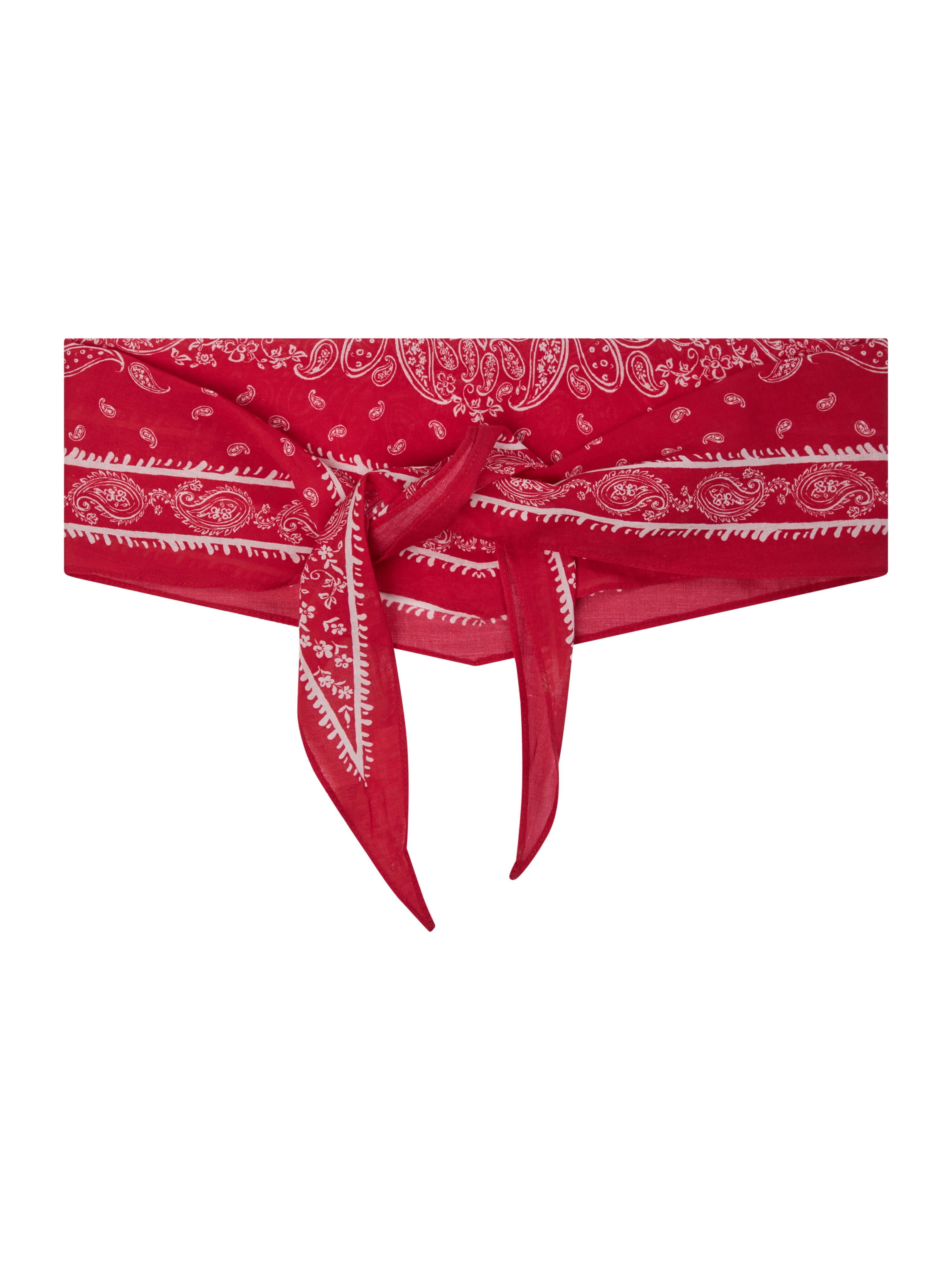 Kinessa Paisley Scarf