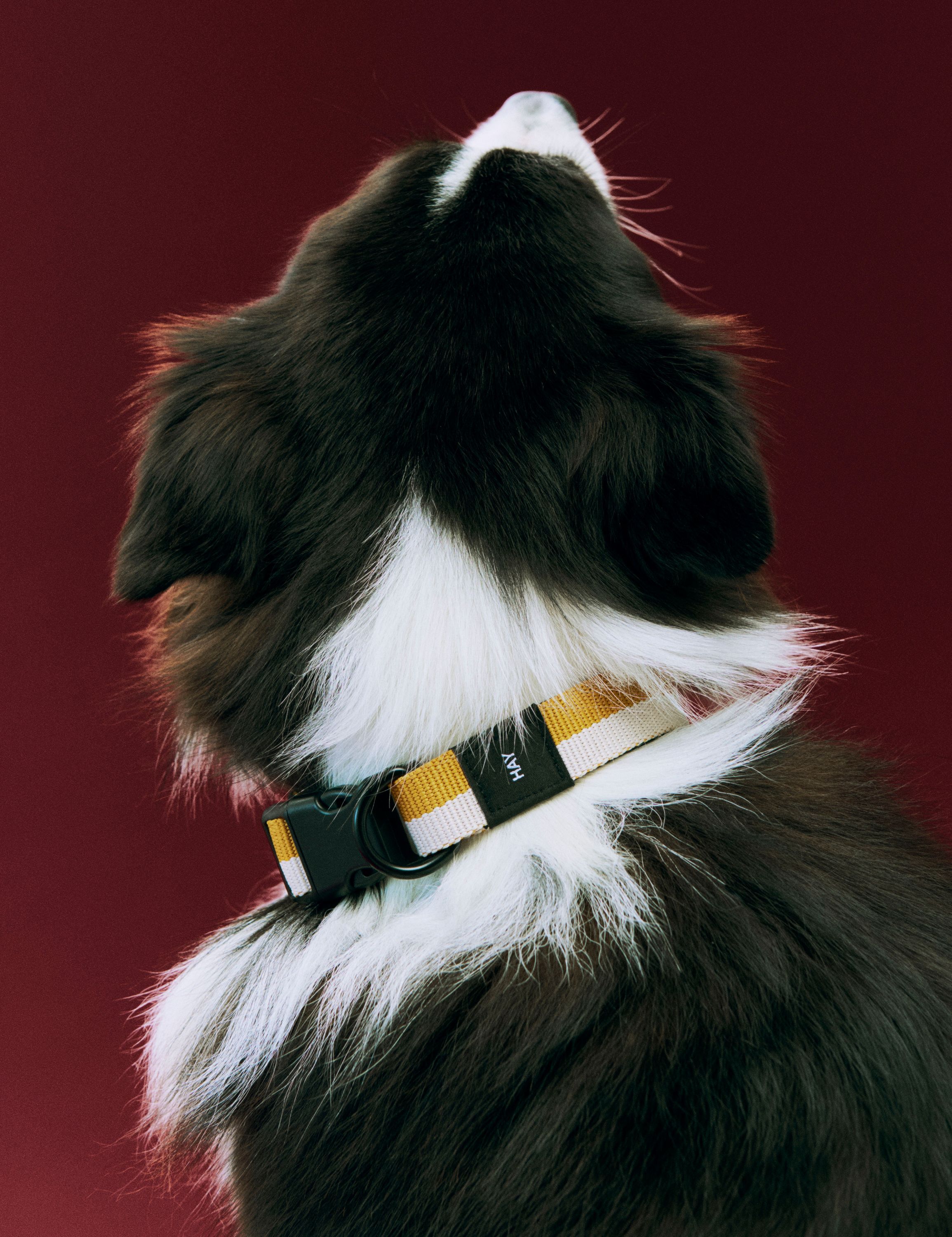 HAY Dogs Collar Flat-M/L-Off-white,