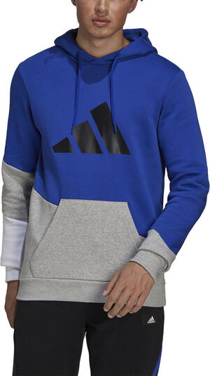 Sportswear Colorblock hættetrøje