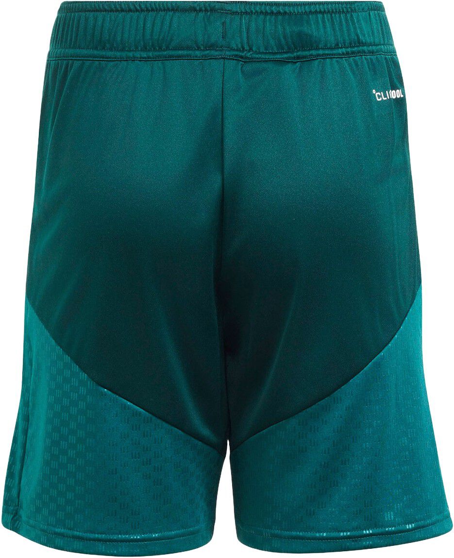 Real Madrid TR Shorts