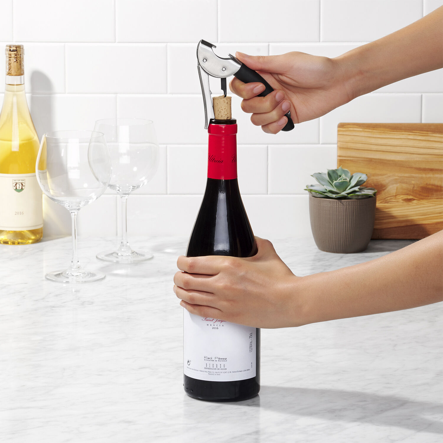 Steel Tjenerproptr&aelig;kker