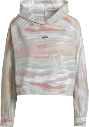 r.y.v. cropped hoodie