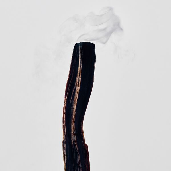 LOEWE Palo Santo Small Candle