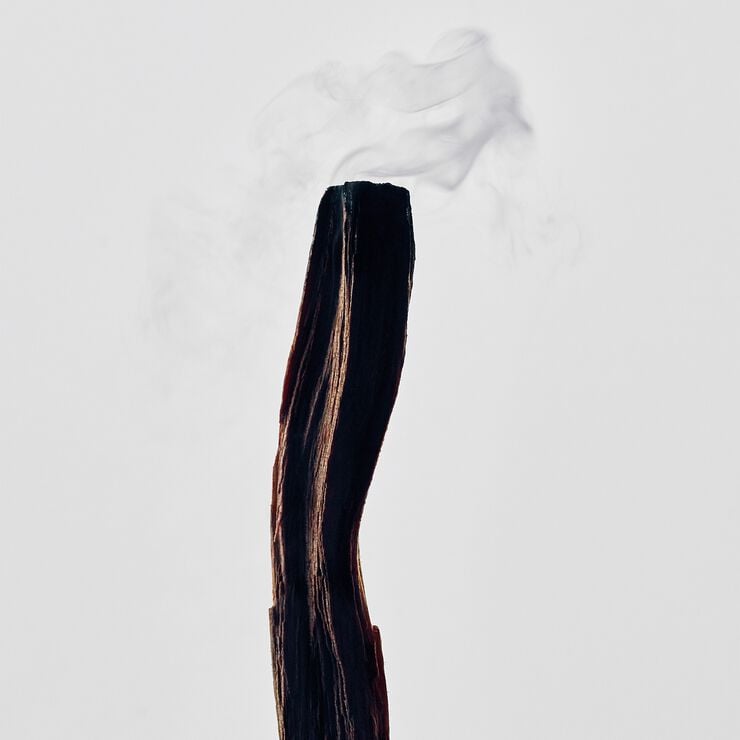 LOEWE Palo Santo Small Candle