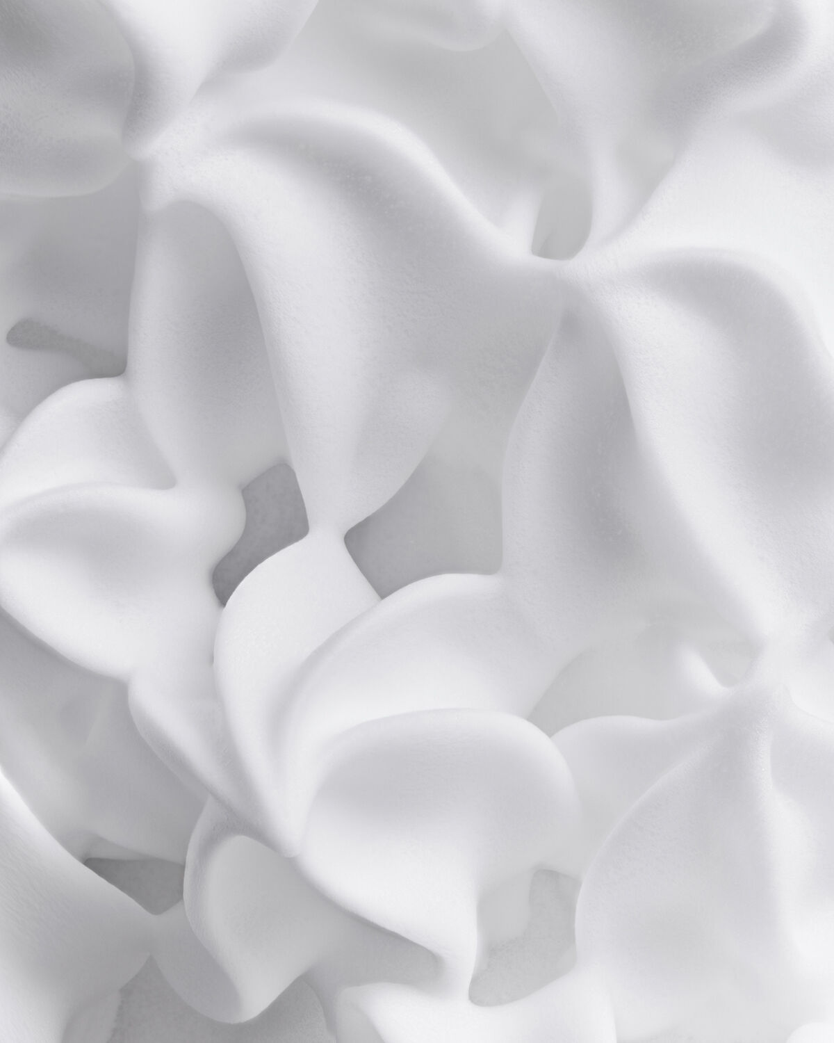 LES EAUX PRIMORDIALES Cleansing Chantilly 200 ml.