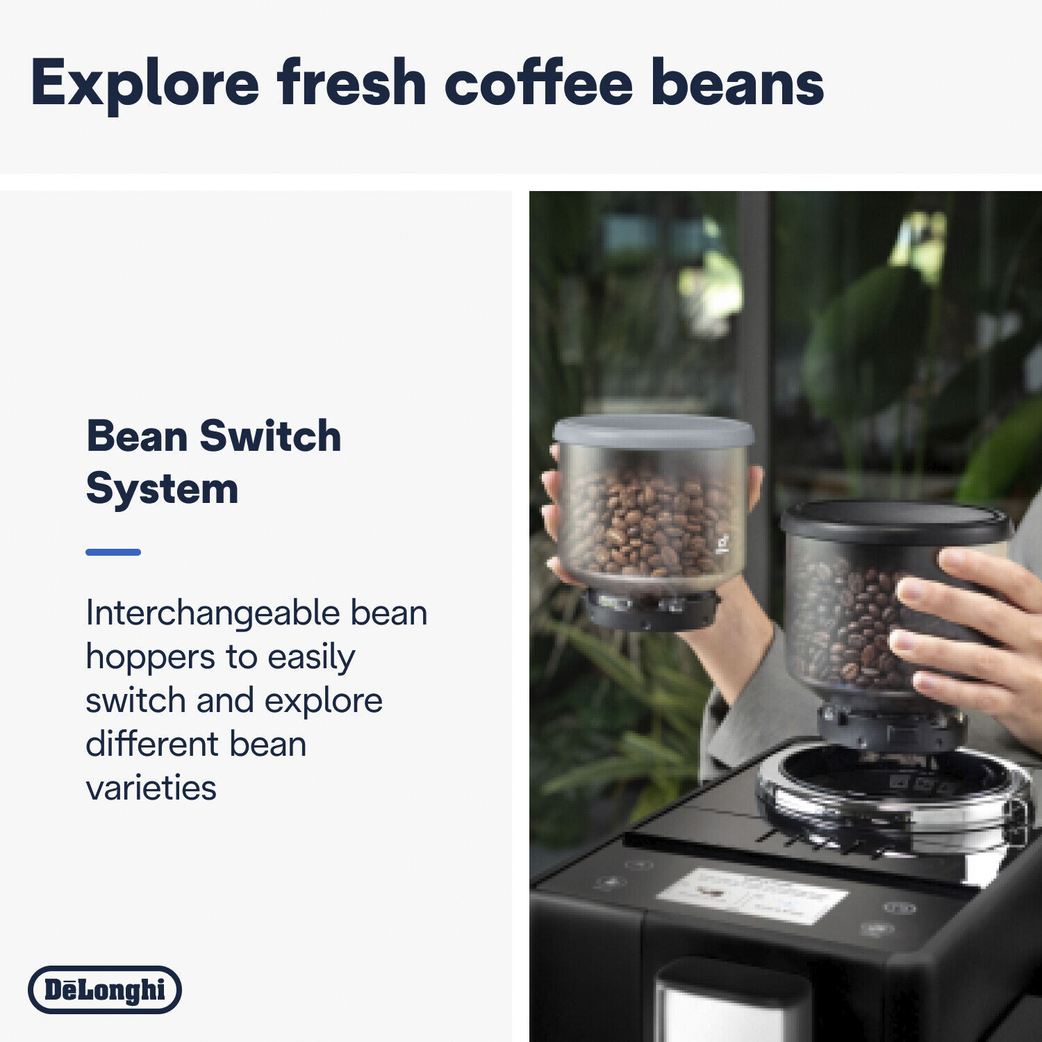 Rivelia EXAM440.35. B