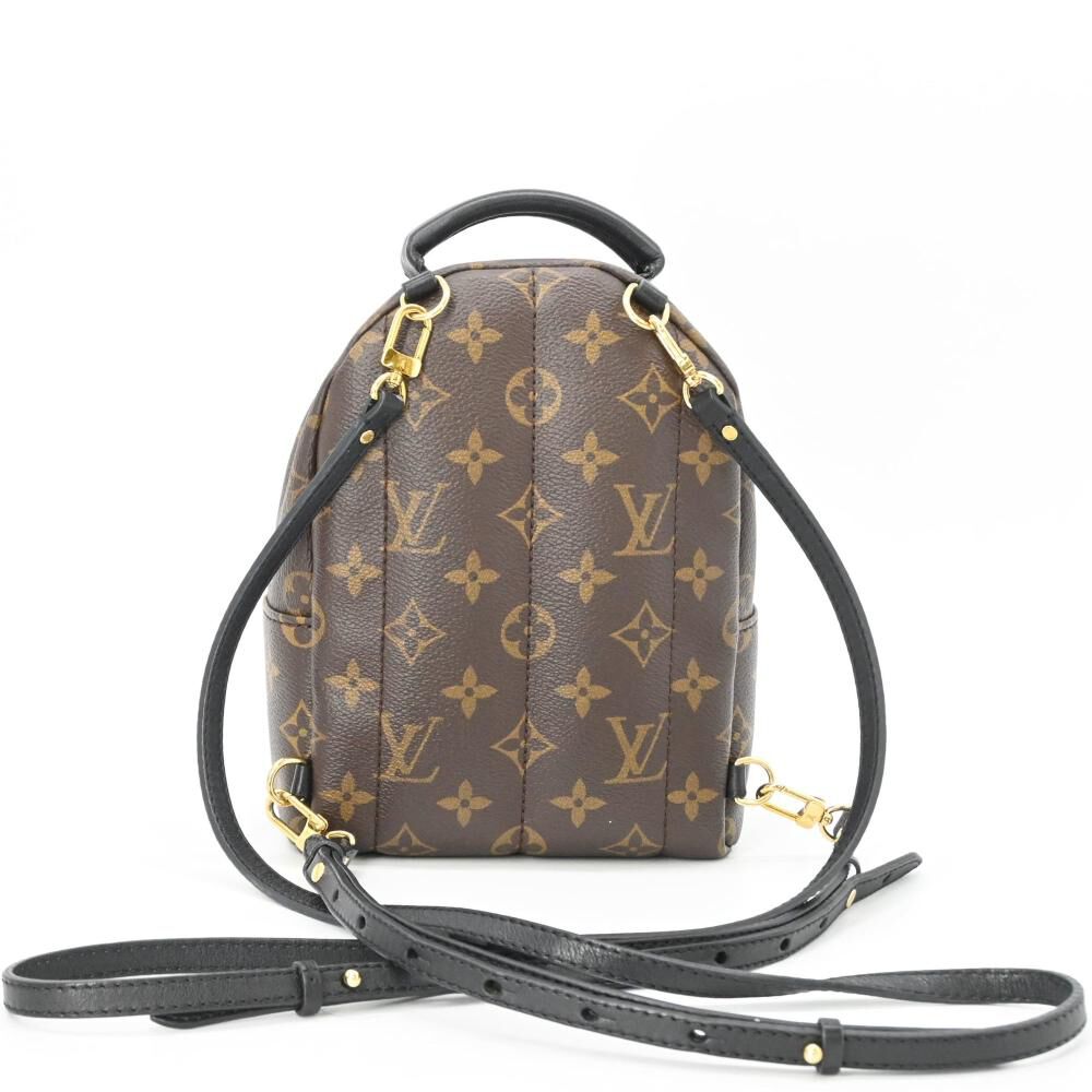 Louis Vuitton Palm Springs